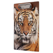 Sumatraanse Tijger Klembord (Links)