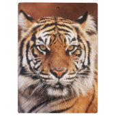 Sumatraanse Tijger Klembord (Achterkant)
