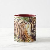 Sumatraanse Tijger Mok (Midden)