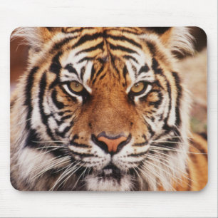 Sumatraanse Tijger Muismat