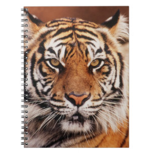 Sumatraanse Tijger Notitieboek