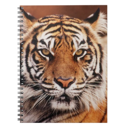 Sumatraanse Tijger Notitieboek (Voorkant)
