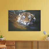 Sumatraanse tijger, Panthera tigris sumatrae Canvas Afdruk (Insitu (Woonkamer))