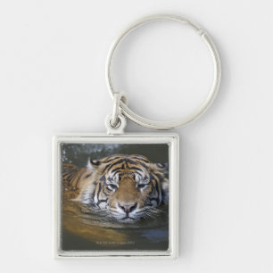 Sumatraanse tijger, Panthera tigris sumatrae Sleutelhanger