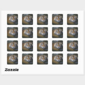 Sumatraanse tijger, Panthera tigris sumatrae Vierkante Sticker (Vel)
