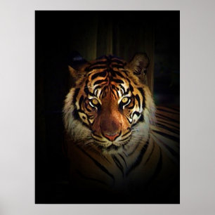 Sumatraanse Tijger Poster Print
