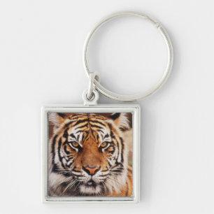 Sumatraanse Tijger Sleutelhanger