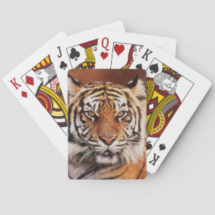 Sumatraanse Tijger Speelkaarten