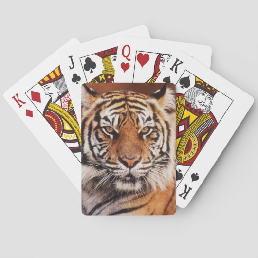 Sumatraanse Tijger Speelkaarten (Achterkant)