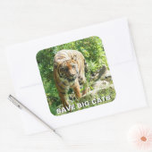 Sumatraanse tijger Sticker (Envelop)