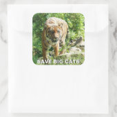 Sumatraanse tijger Sticker (Tas)