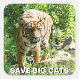 Sumatraanse tijger Sticker