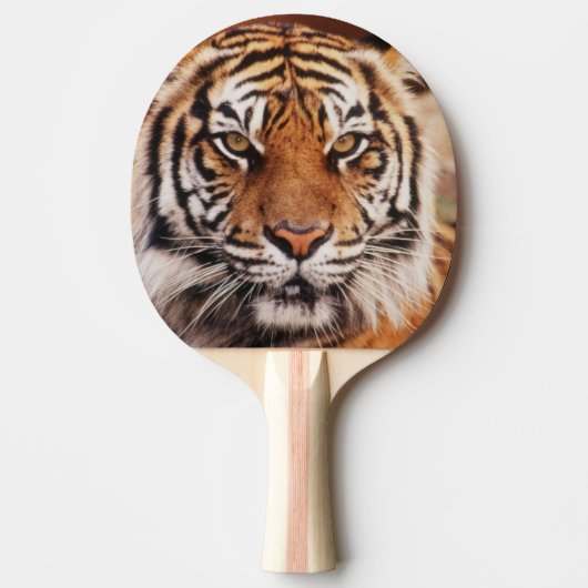 Sumatraanse Tijger Tafeltennisbatje (Voorkant)
