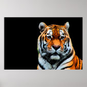 Sumatran Borneo Tiger Poster (Voorkant)