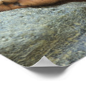 Sumatran Orangutan, Pongo pygmaeus Poster (Hoek)