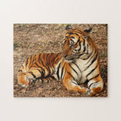 Sumatran Tiger 2 Legpuzzel (Horizontaal)