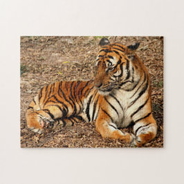 Sumatran Tiger 2 Legpuzzel