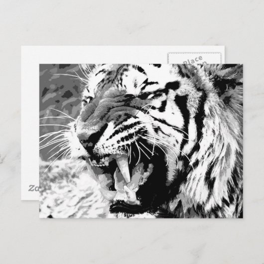 Sumatran Tiger Briefkaart (Voorkant / Achterkant)