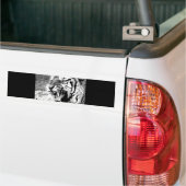Sumatran Tiger Bumpersticker (Op Truck)