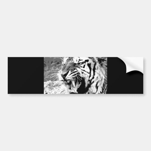 Sumatran Tiger Bumpersticker (Voorkant)