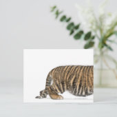 Sumatran Tiger cub 2 Briefkaart (Staand voorkant)