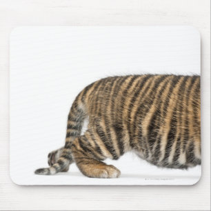 Sumatran Tiger cub 2 Muismat