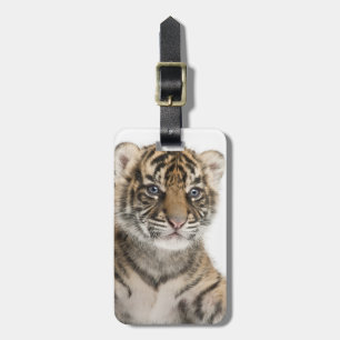 Sumatran Tiger cub Bagagelabel