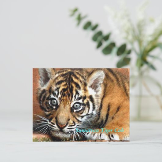 Sumatran Tiger Cub Briefkaart (Staand voorkant)