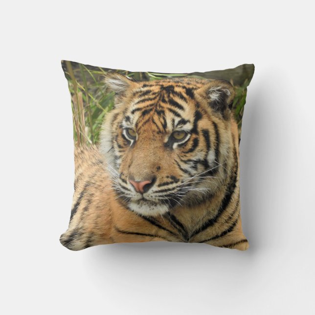 Sumatran Tiger Cub Kussen (Voorkant)
