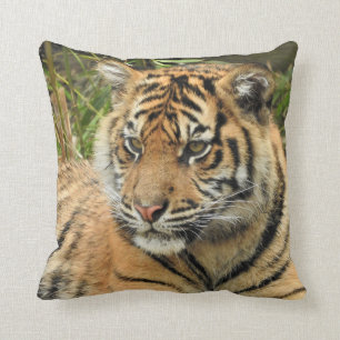 Sumatran Tiger Cub Kussen