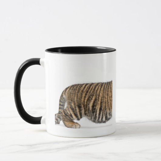 Sumatran Tiger cub - Panthera tigris sumatrae (3) Mok (Links)