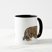 Sumatran Tiger cub - Panthera tigris sumatrae (3) Mok (Voorkant rechts)