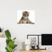 Sumatran Tiger cub Poster (Thuiskantoor)