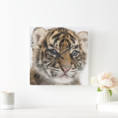Sumatran Tiger cub Vierkante Klok (Huis)