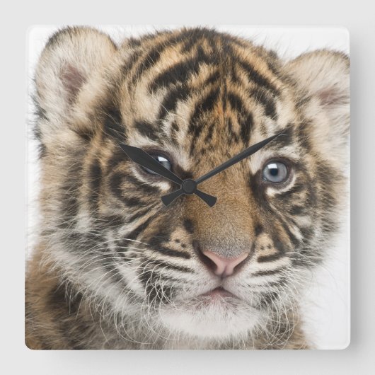 Sumatran Tiger cub Vierkante Klok (Voorkant)