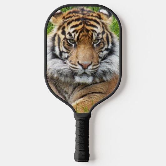 Sumatran Tiger Foto Pickleball Paddle (Achterkant)
