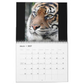 Sumatran Tiger Kalender (Mar 2027)