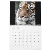 Sumatran Tiger Kalender (Mar 2026)