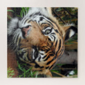 Sumatran Tiger Legpuzzel (Horizontaal)