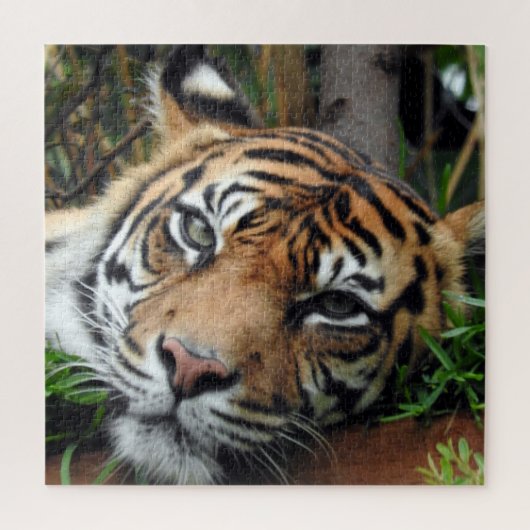 Sumatran Tiger Legpuzzel (Verticaal)