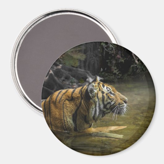 Sumatran Tiger LIGHT OF THE TIGER Magneet (Voorkant / Achterkant)