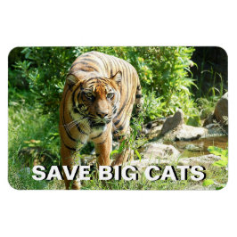 Sumatran Tiger Magneet