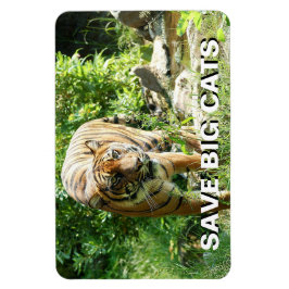 Sumatran Tiger Magneet