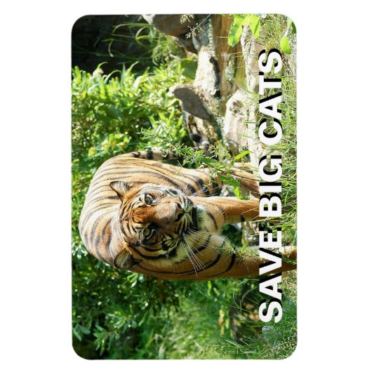 Sumatran Tiger Magneet (Verticaal)