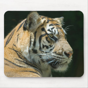 Sumatran Tiger Mousepad Muismat