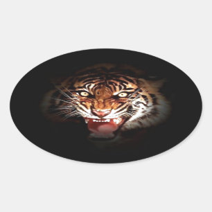 Sumatran Tiger Ovale Sticker