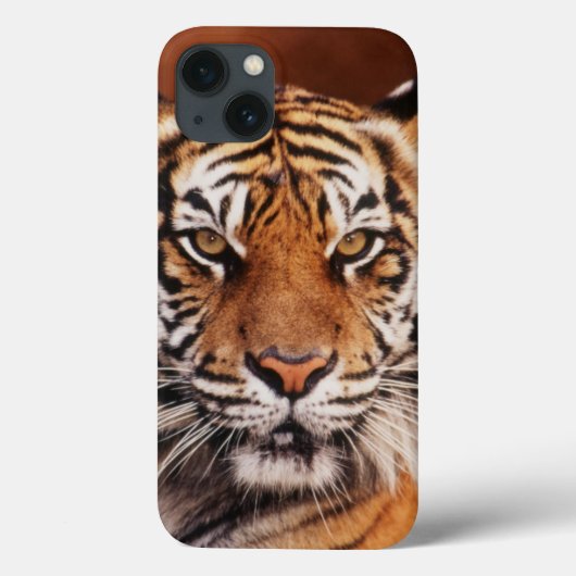 Sumatran Tiger, Panthera tigris Case-Mate iPhone Case (Achterkant)