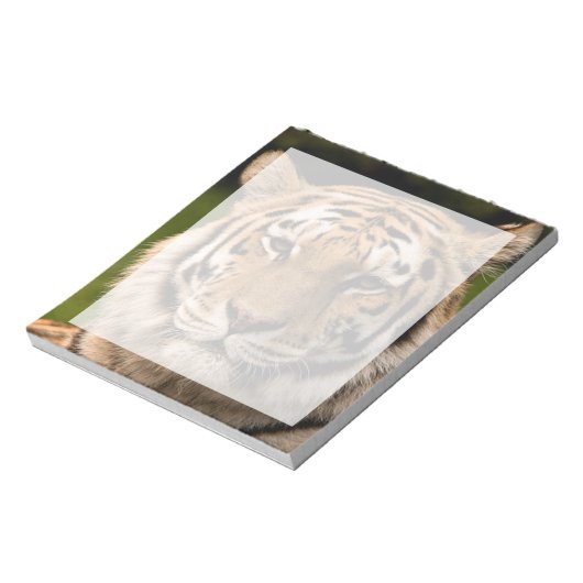 Sumatran Tiger Portrait Notitieblok (Linkerzijde)