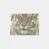 Sumatran Tiger Post-it® Notes (Voorkant)