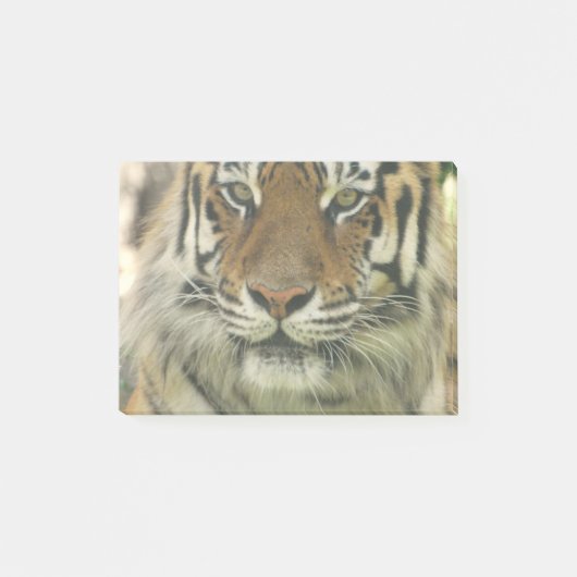 Sumatran Tiger Post-it® Notes (Voorkant)